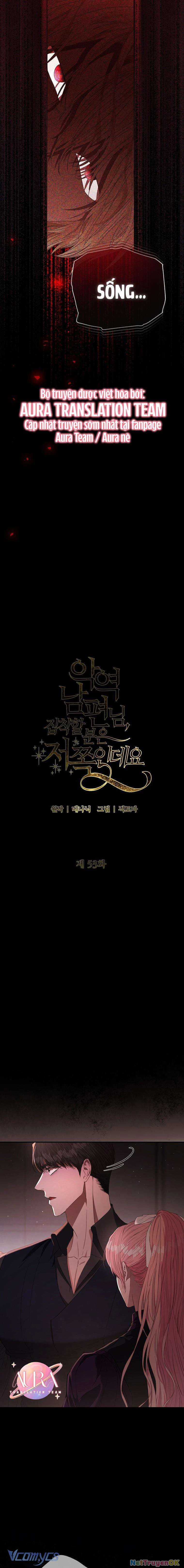 Này Người Chồng Phản Diện, Ngài Ám Ảnh Sai Người Rồi Chapter 53 trang 17