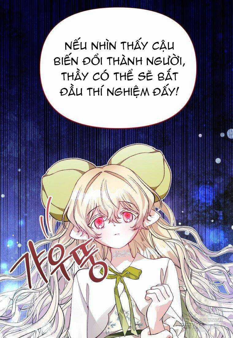 Này Tiểu Công Tước, Hãy Tin Ở Chị Đi! Chapter 23.1 trang 17