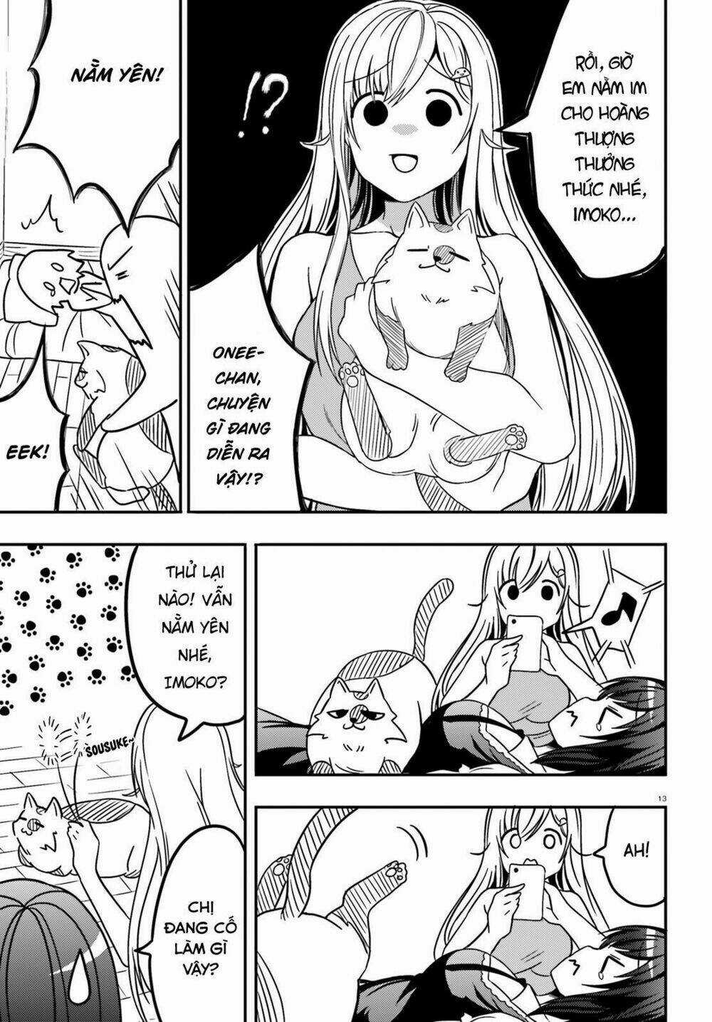 Neeko Wa Tsurai Yo Chapter 17 trang 13