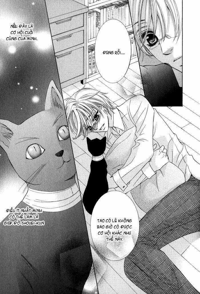 Neko Mata Chapter 1 trang 11