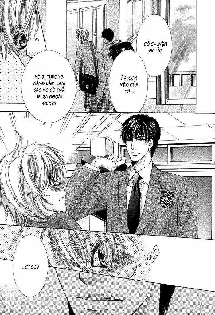 Neko Mata Chapter 1 trang 13