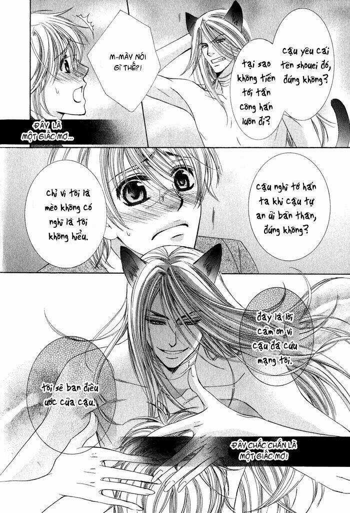 Neko Mata Chapter 1 trang 24