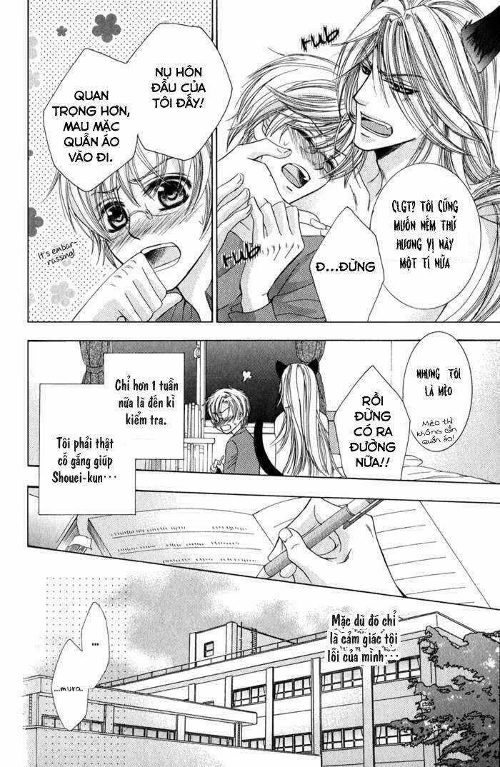 Neko Mata Chapter 3 trang 6