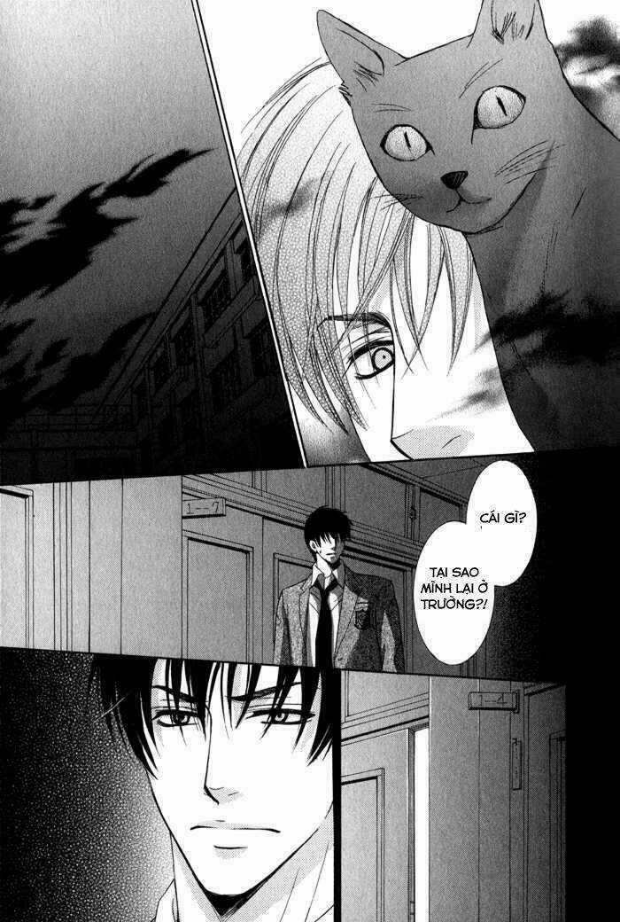 Neko Mata Chapter 4 trang 19