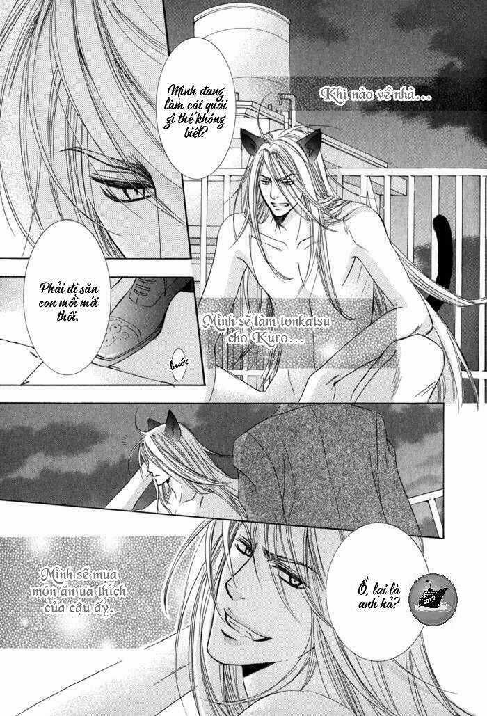 Neko Mata Chapter 5 trang 31