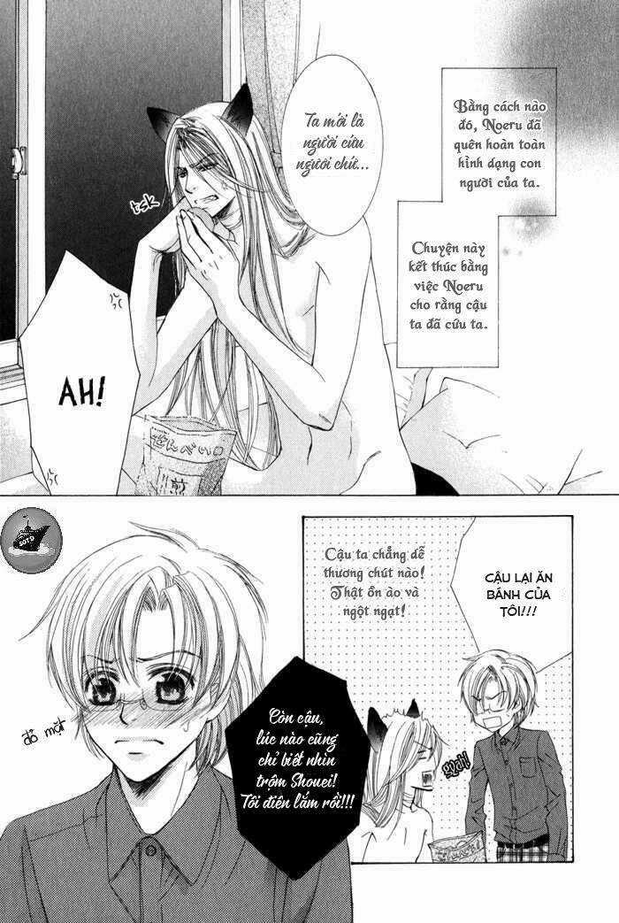 Neko Mata Chapter 6 trang 14