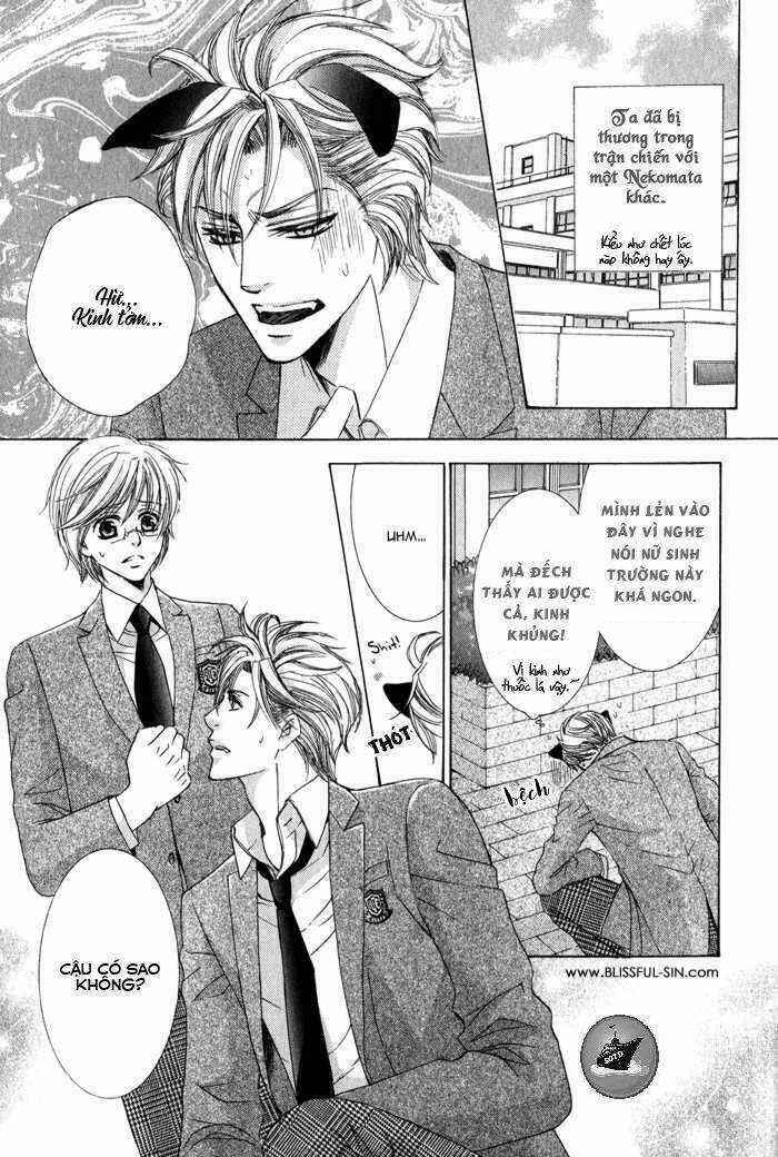 Neko Mata Chapter 6 trang 2