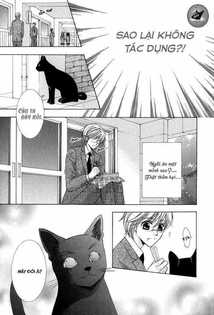 Neko Mata Chapter 6 trang 4