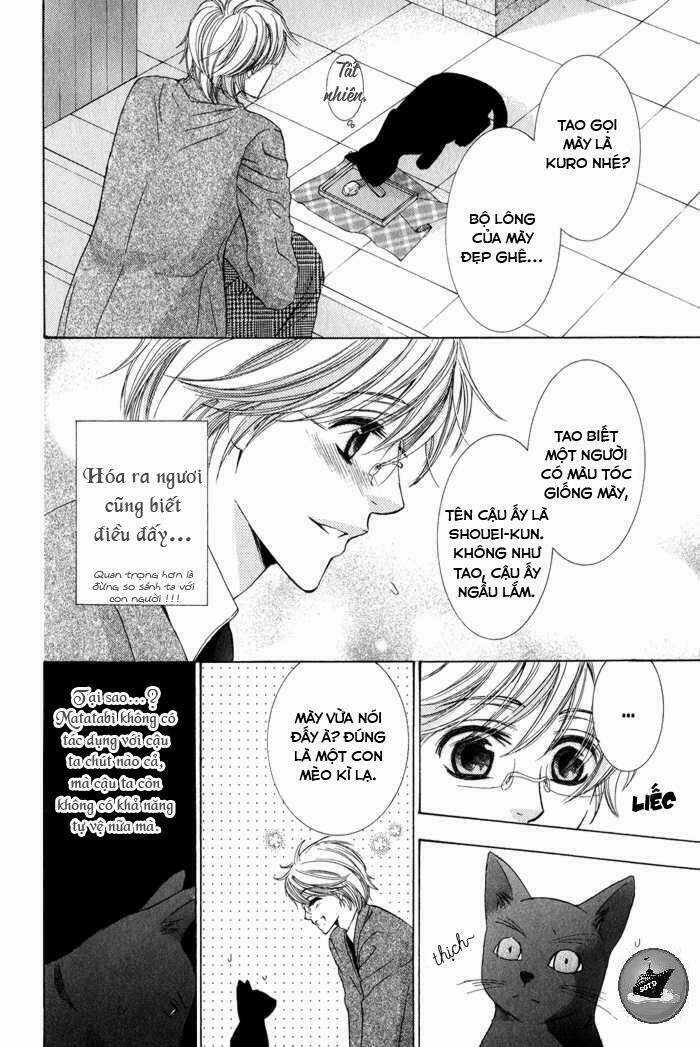 Neko Mata Chapter 6 trang 5