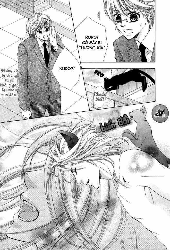 Neko Mata Chapter 6 trang 6