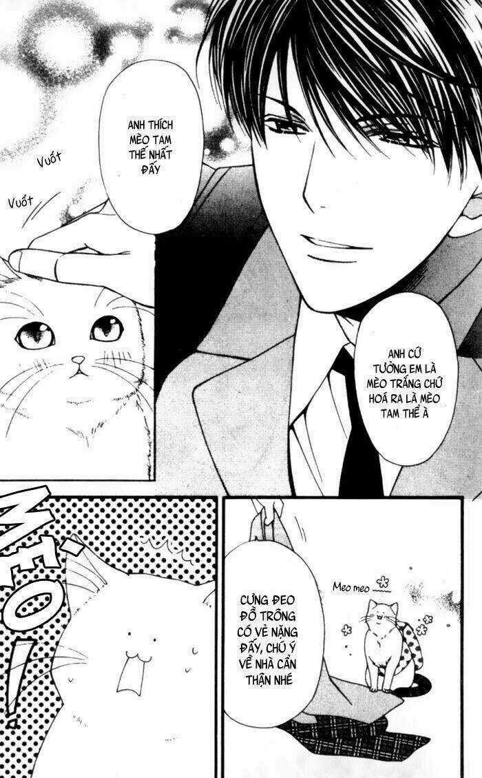 Neko Neko Honey Chapter 1 trang 12