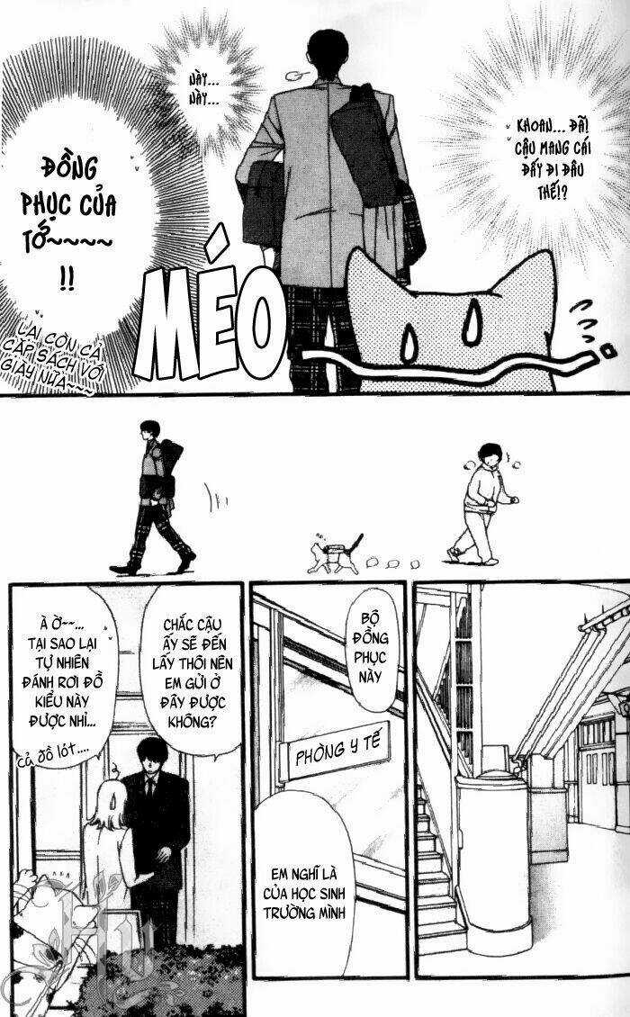 Neko Neko Honey Chapter 1 trang 13