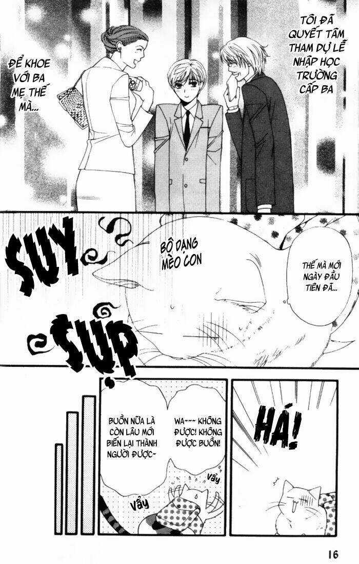 Neko Neko Honey Chapter 1 trang 16