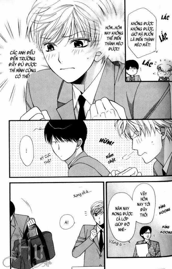 Neko Neko Honey Chapter 1 trang 25