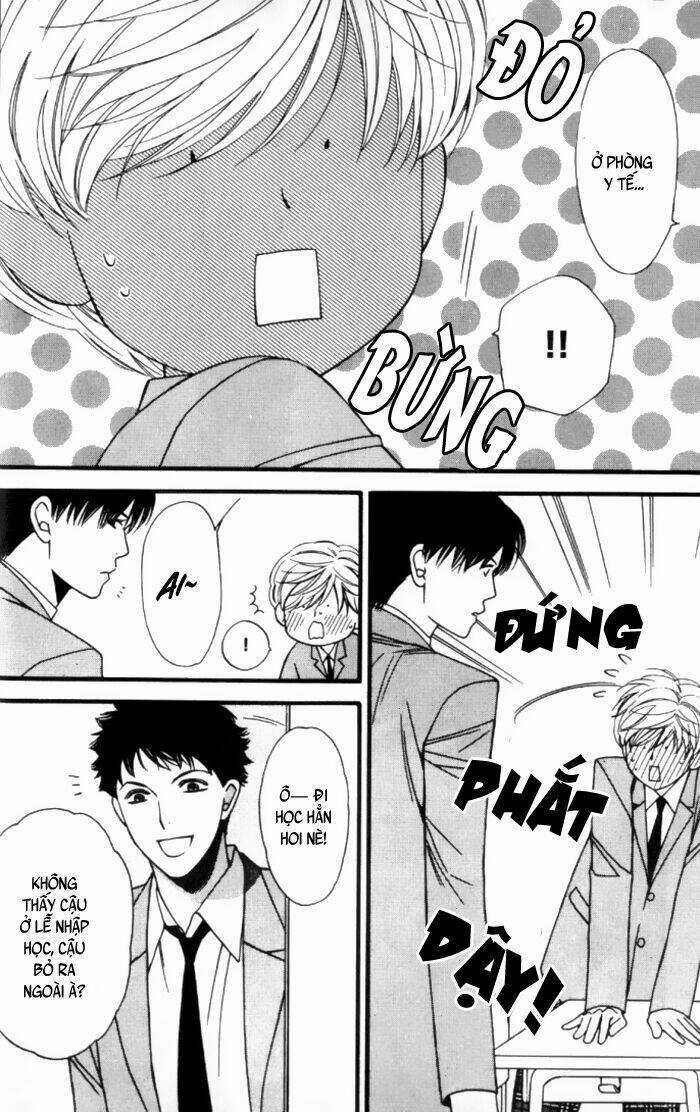 Neko Neko Honey Chapter 1 trang 28