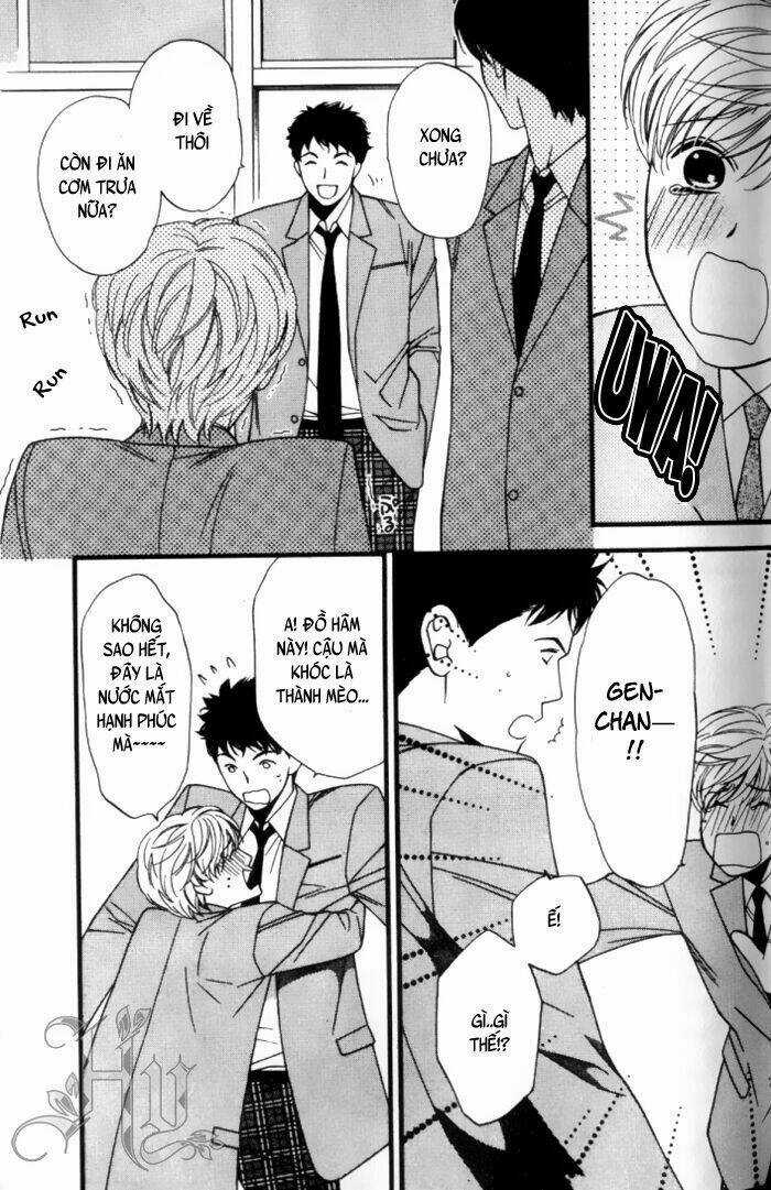 Neko Neko Honey Chapter 1 trang 29