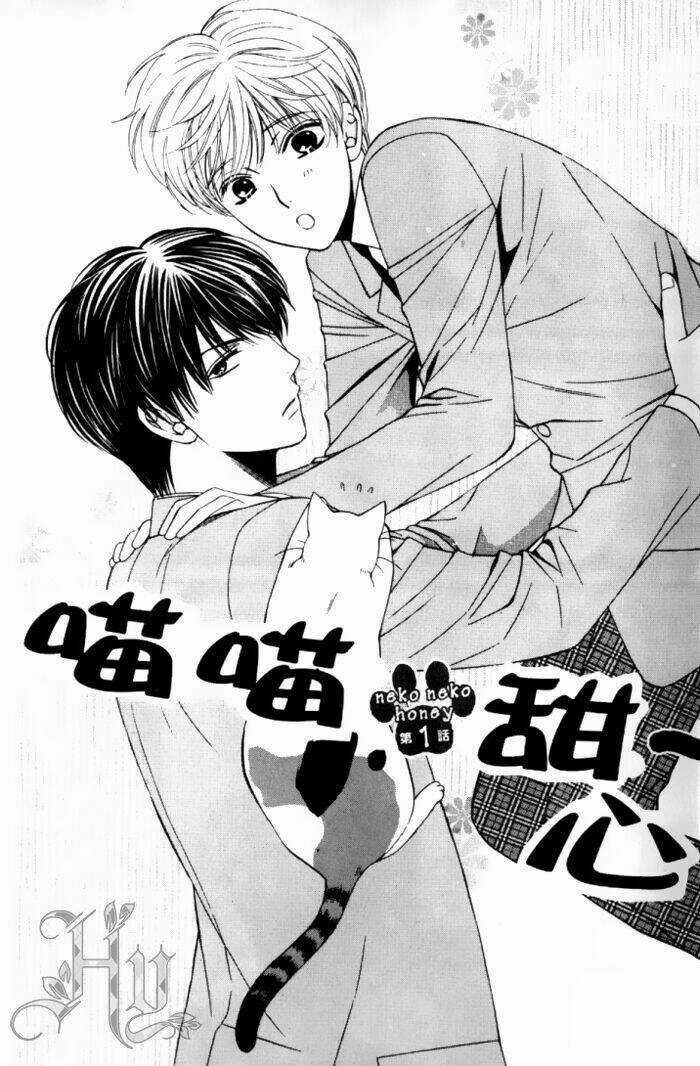 Neko Neko Honey Chapter 1 trang 3