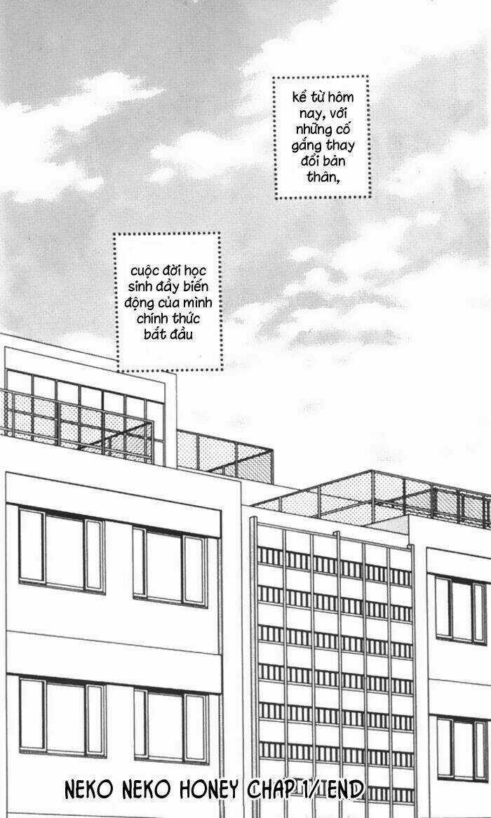 Neko Neko Honey Chapter 1 trang 34