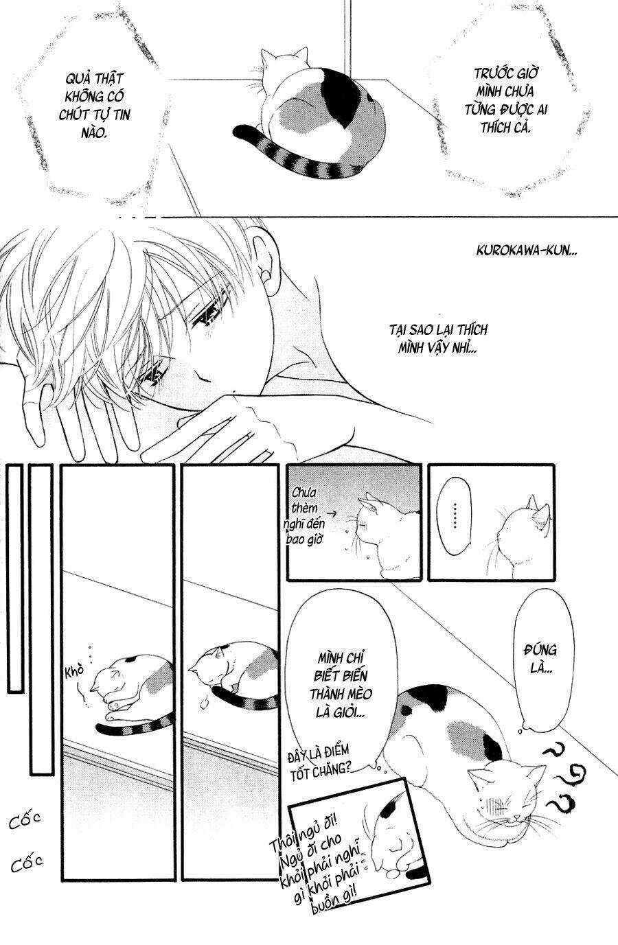 Neko Neko Honey Chapter 10 trang 13