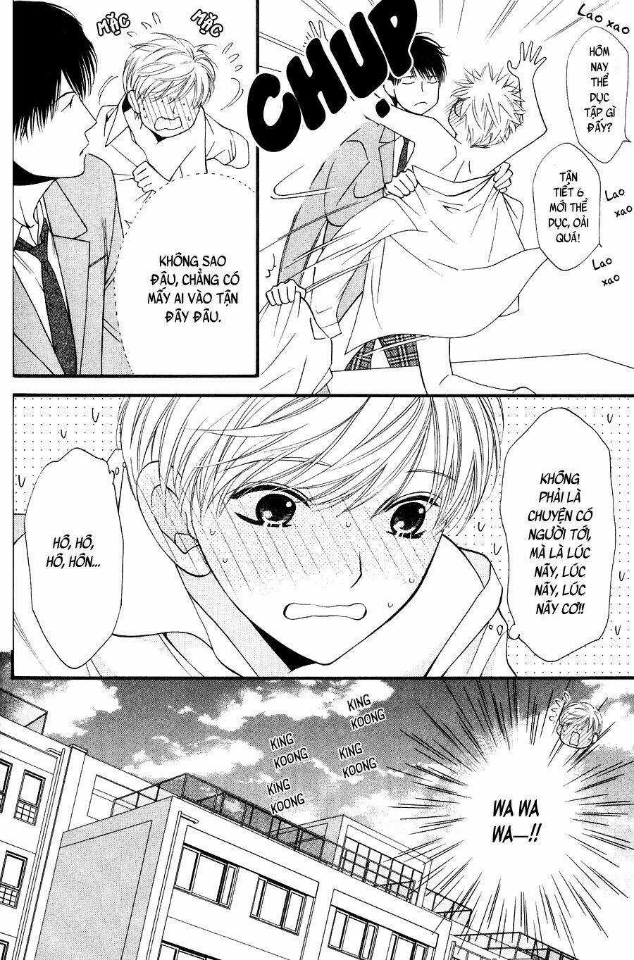 Neko Neko Honey Chapter 10 trang 19