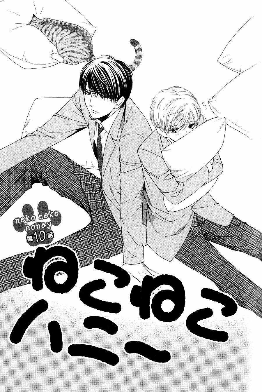 Neko Neko Honey Chapter 10 trang 2