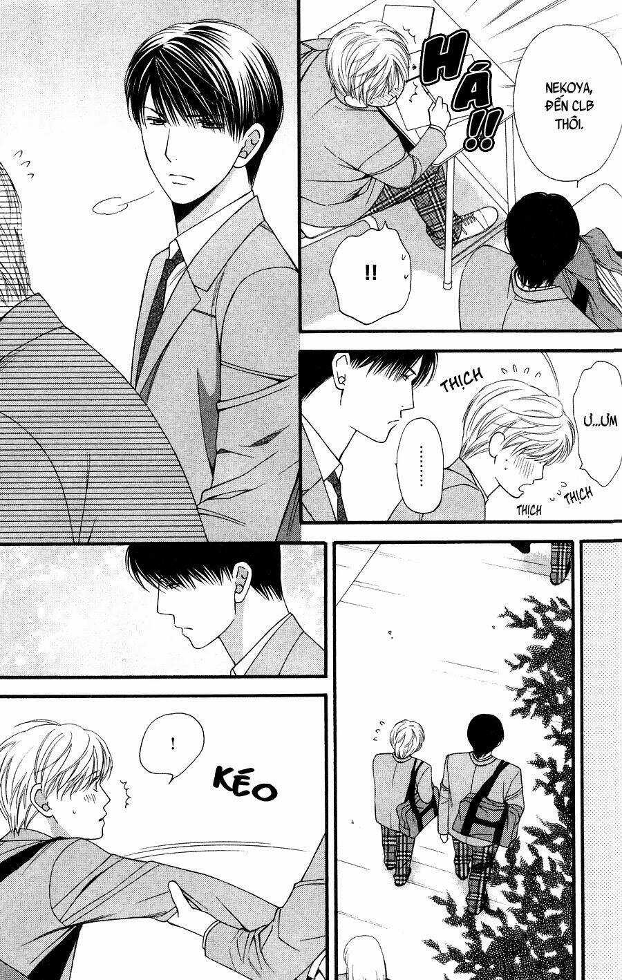 Neko Neko Honey Chapter 10 trang 20