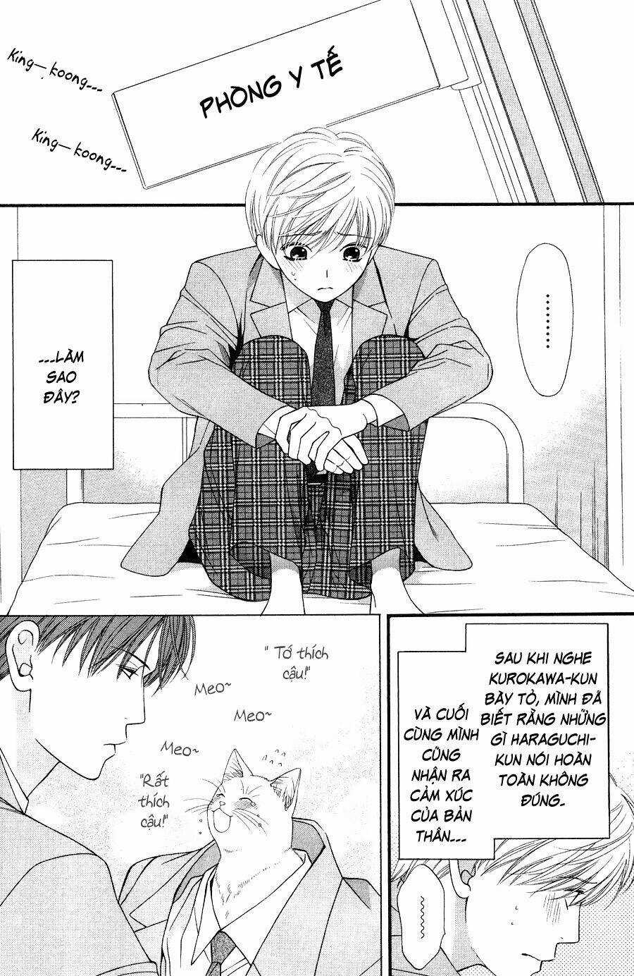 Neko Neko Honey Chapter 10 trang 3