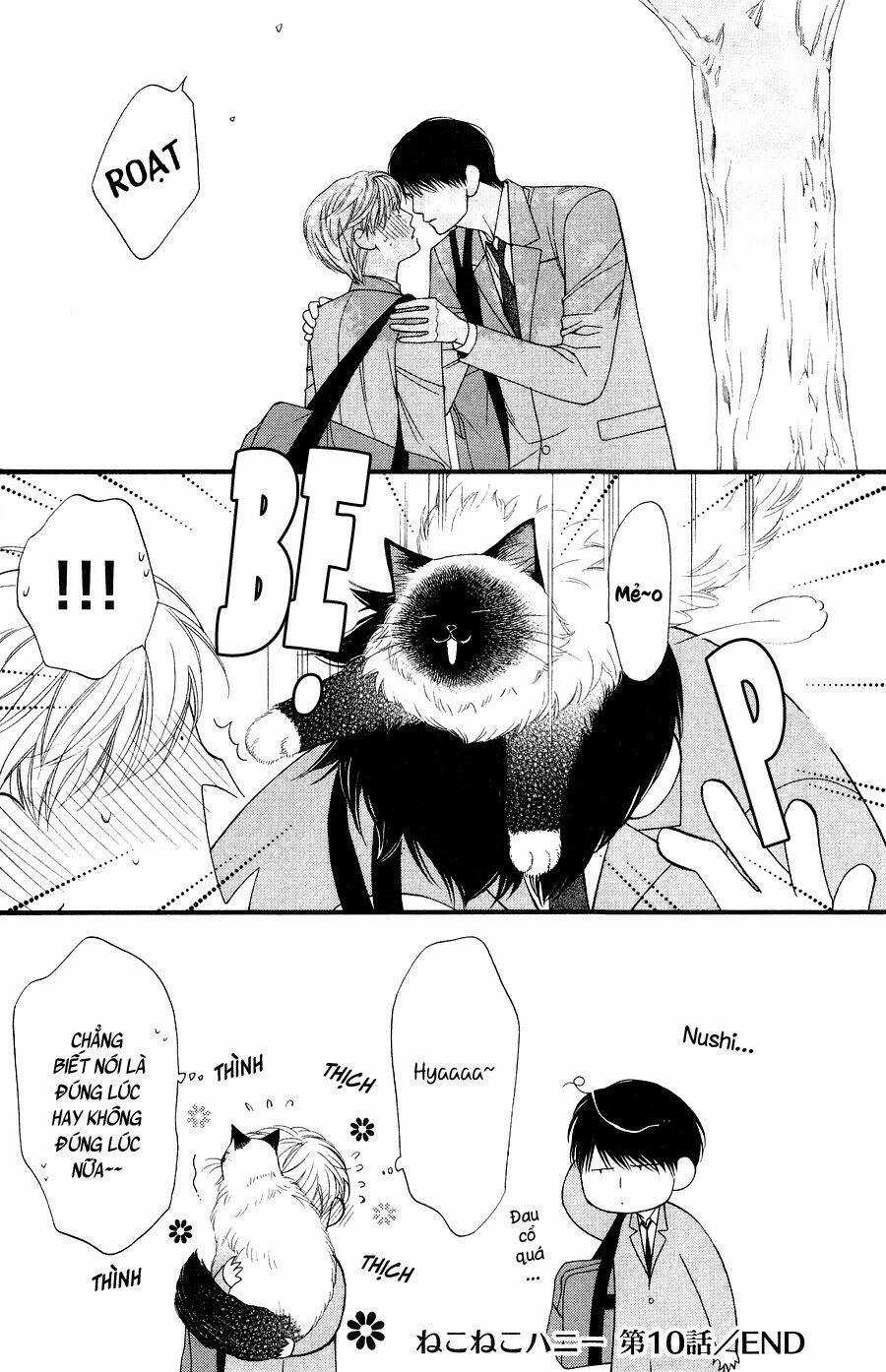 Neko Neko Honey Chapter 10 trang 31