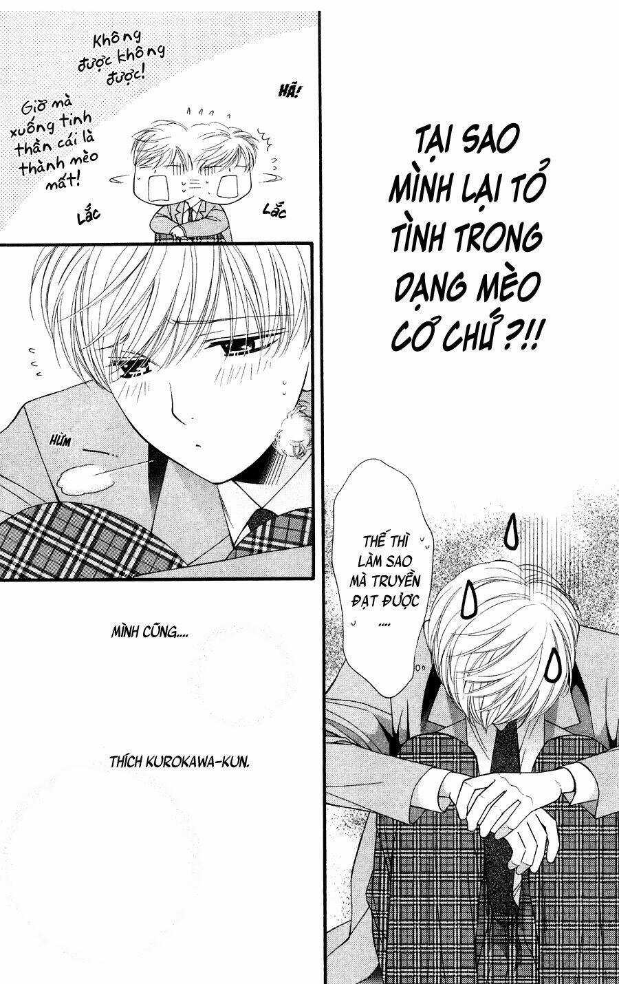 Neko Neko Honey Chapter 10 trang 4