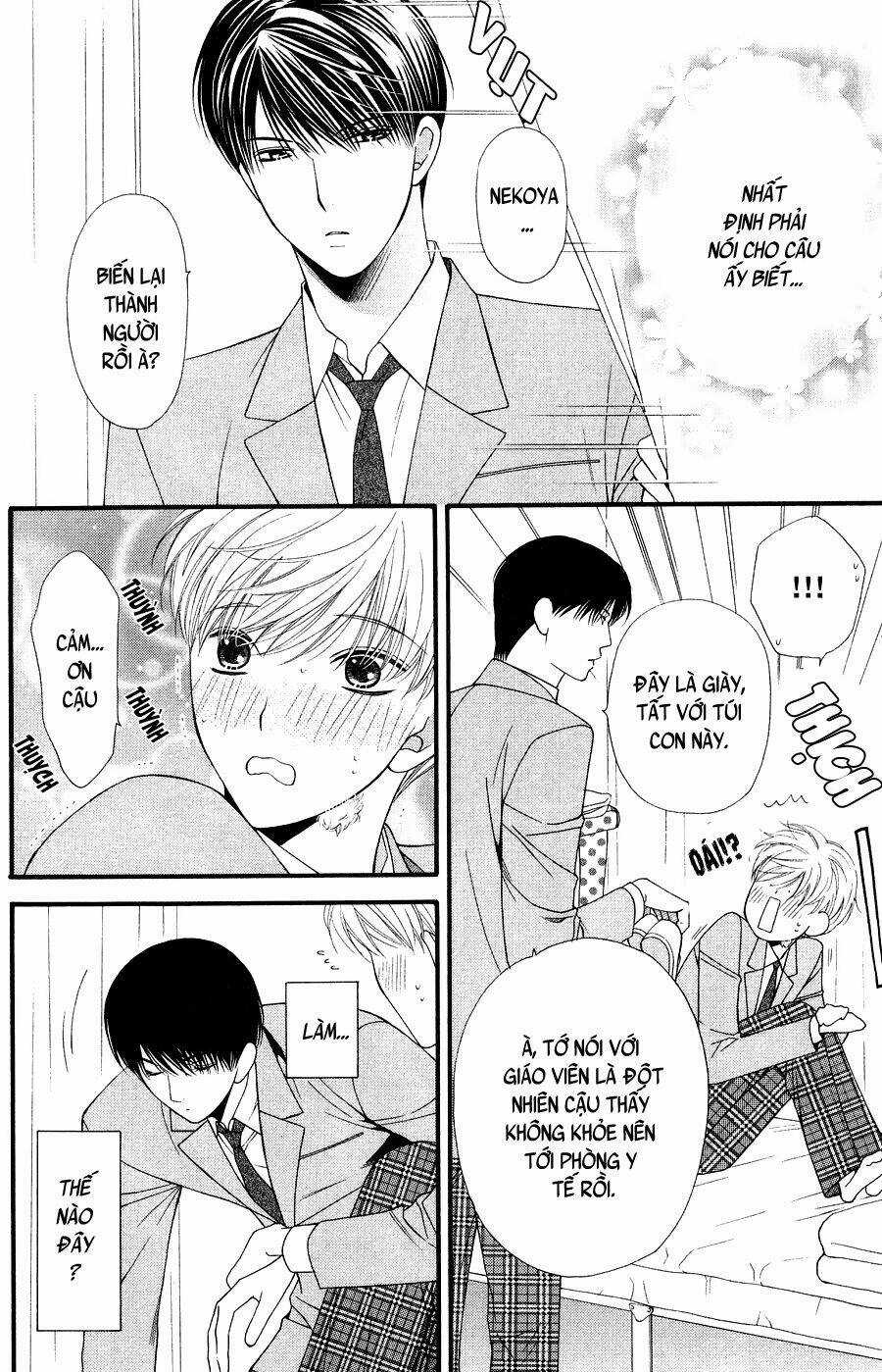Neko Neko Honey Chapter 10 trang 5