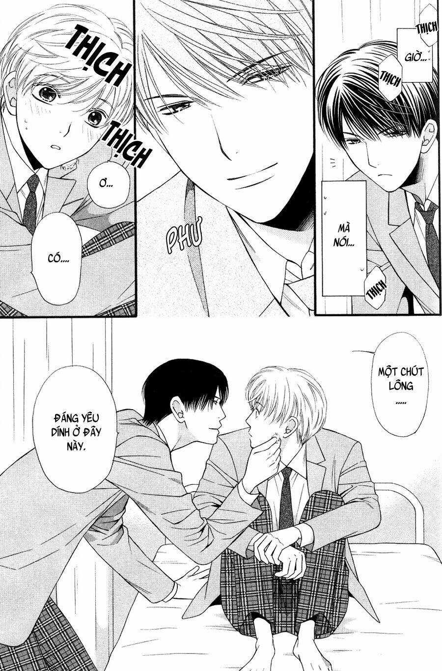 Neko Neko Honey Chapter 10 trang 6