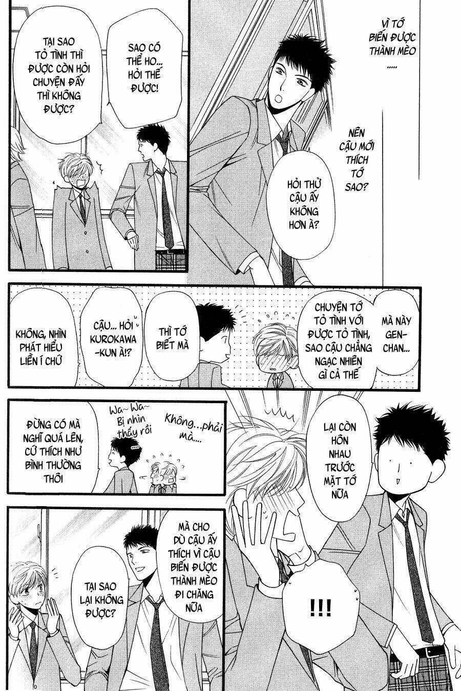 Neko Neko Honey Chapter 11 trang 11