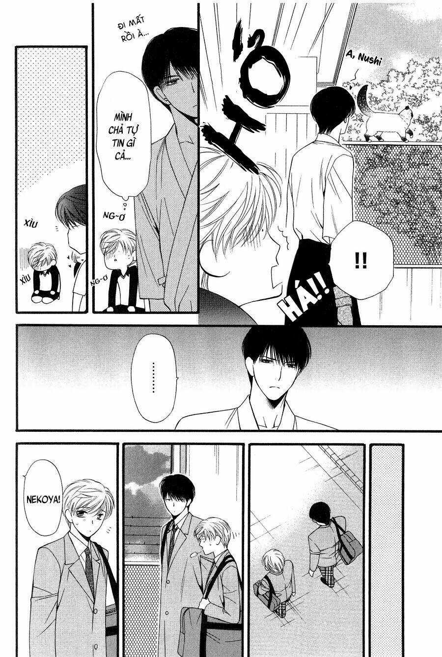 Neko Neko Honey Chapter 11 trang 15