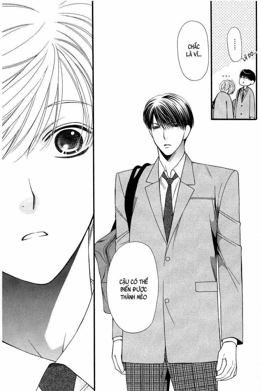 Neko Neko Honey Chapter 11 trang 18