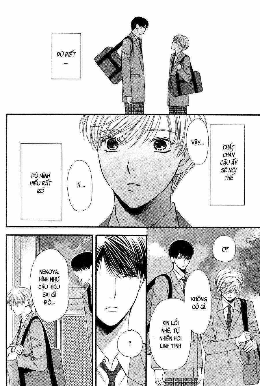 Neko Neko Honey Chapter 11 trang 19