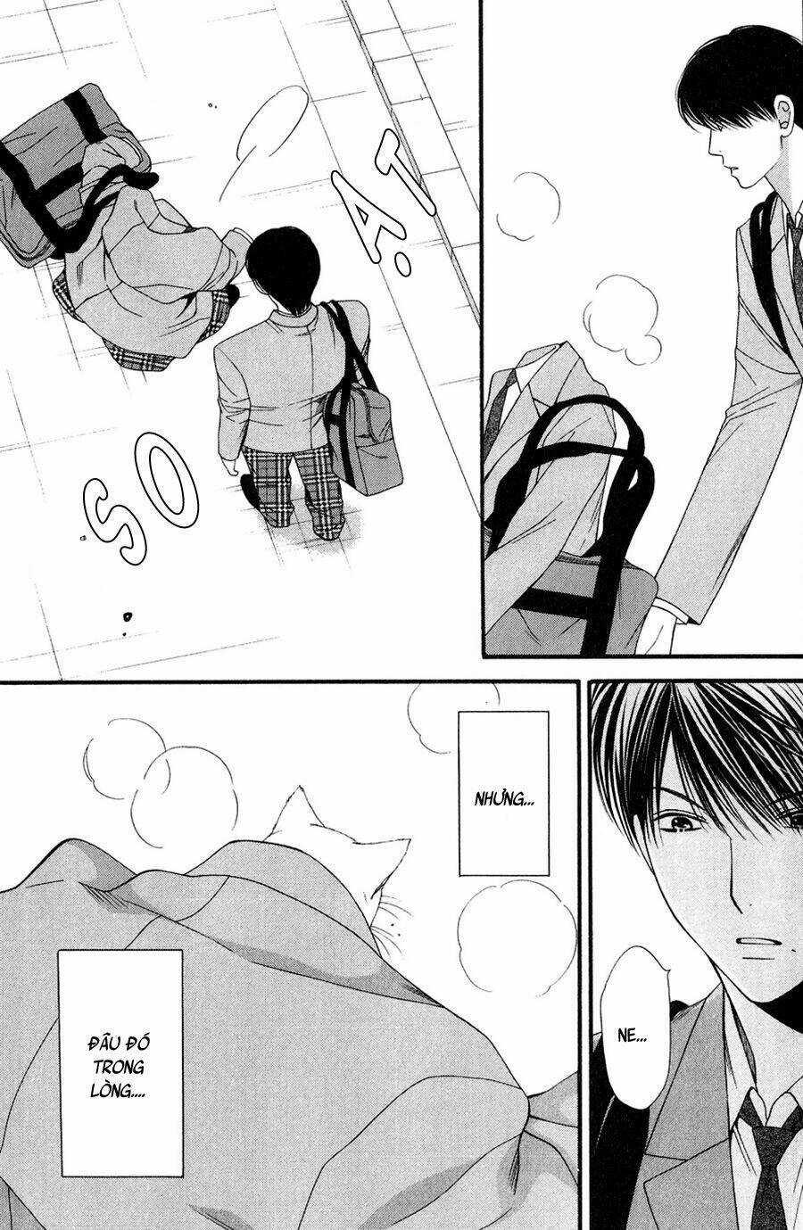 Neko Neko Honey Chapter 11 trang 20