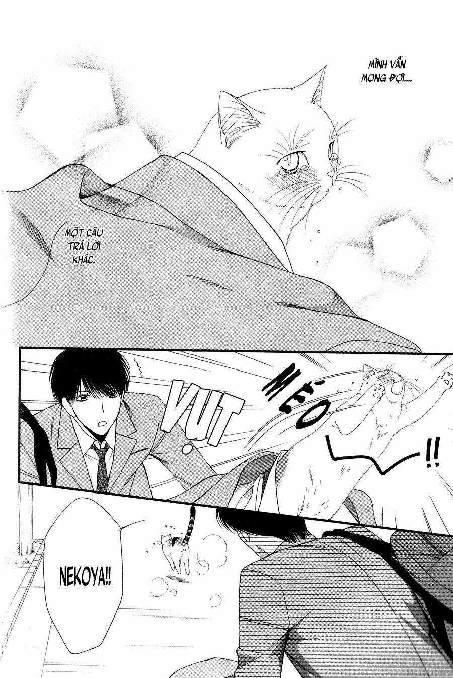 Neko Neko Honey Chapter 11 trang 21
