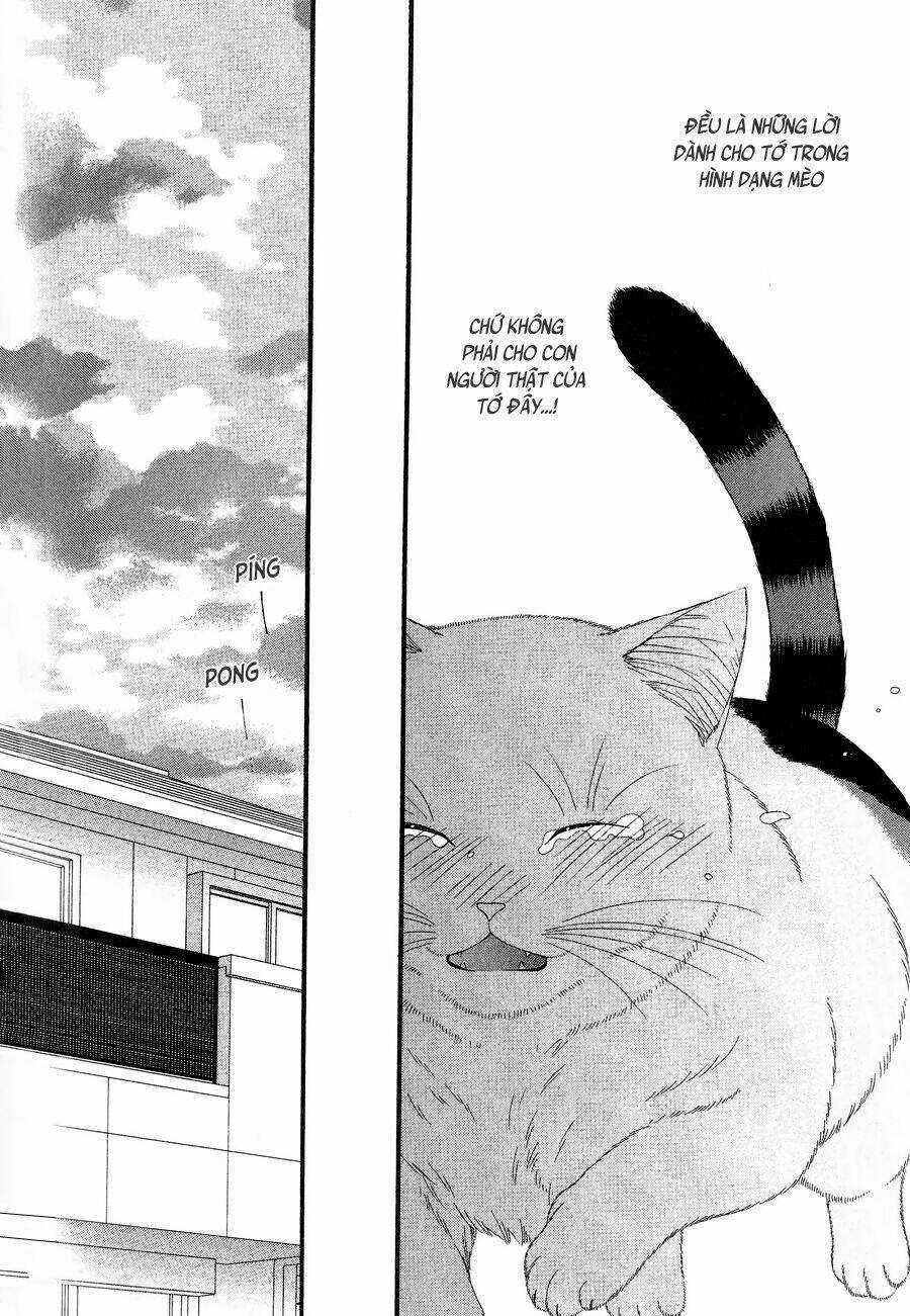 Neko Neko Honey Chapter 11 trang 23