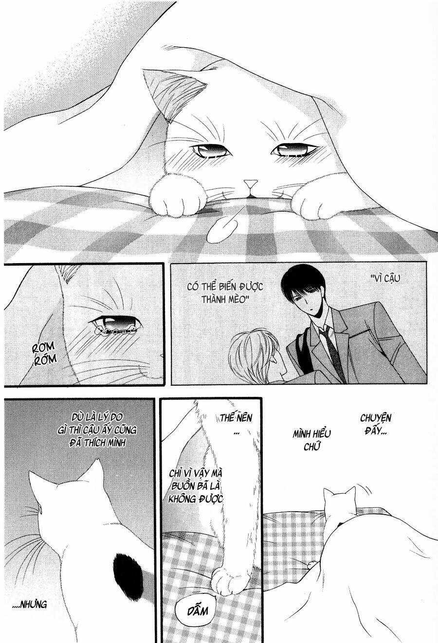 Neko Neko Honey Chapter 11 trang 26