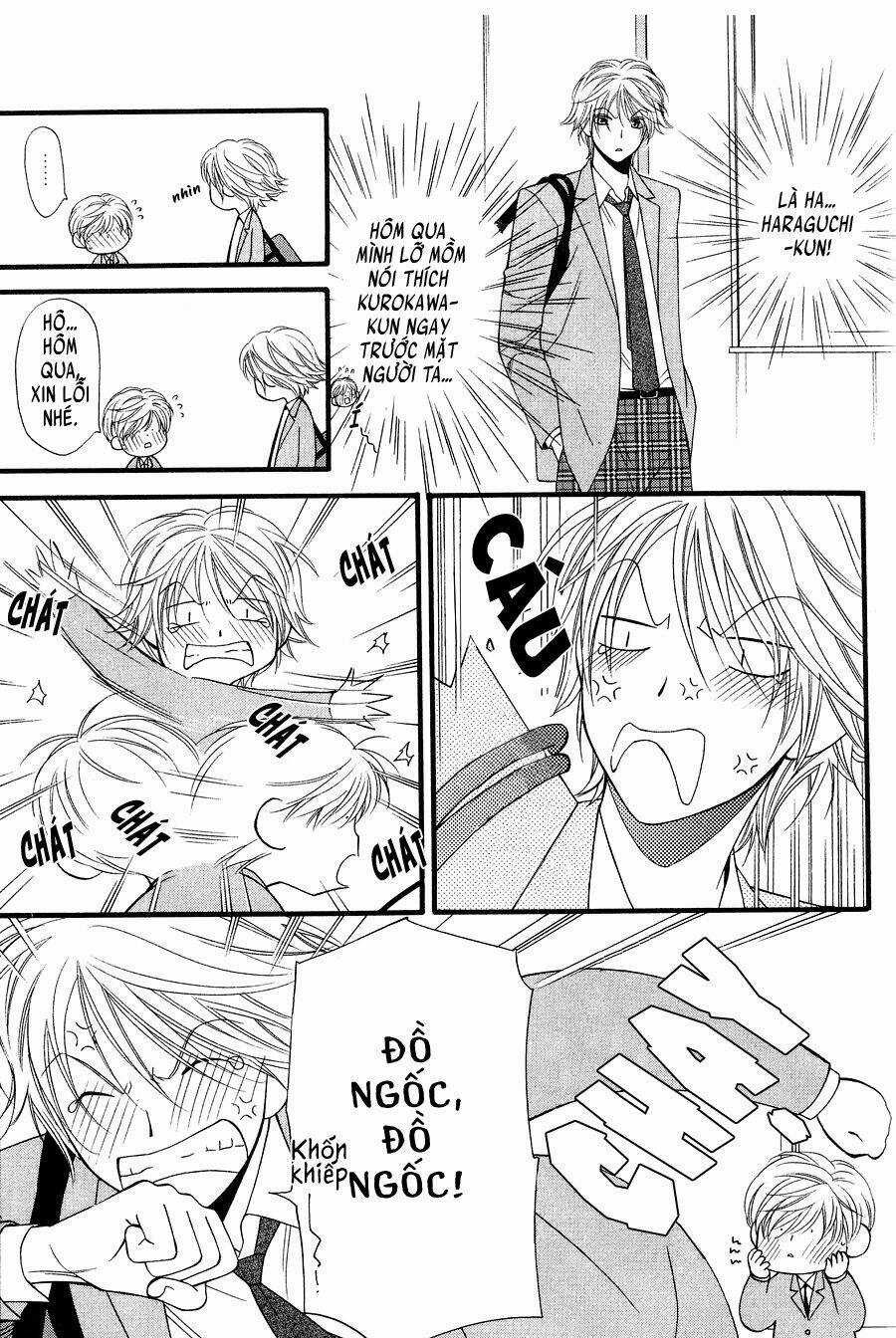Neko Neko Honey Chapter 11 trang 4