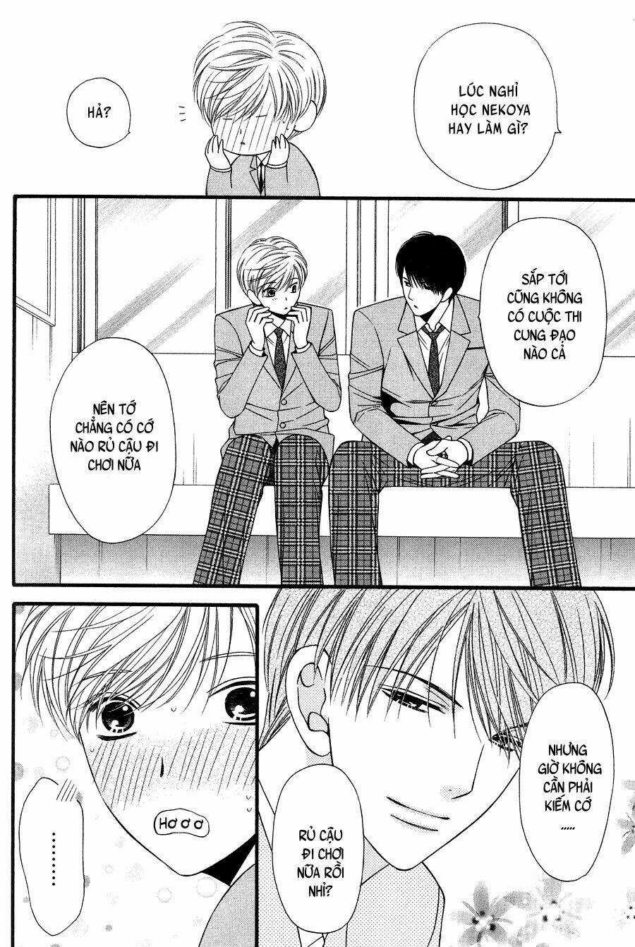 Neko Neko Honey Chapter 11 trang 7