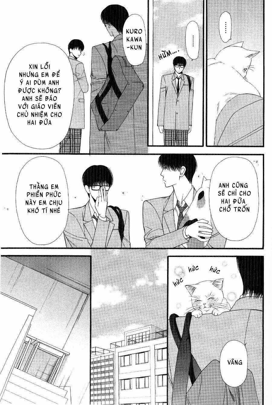 Neko Neko Honey Chapter 12 trang 10