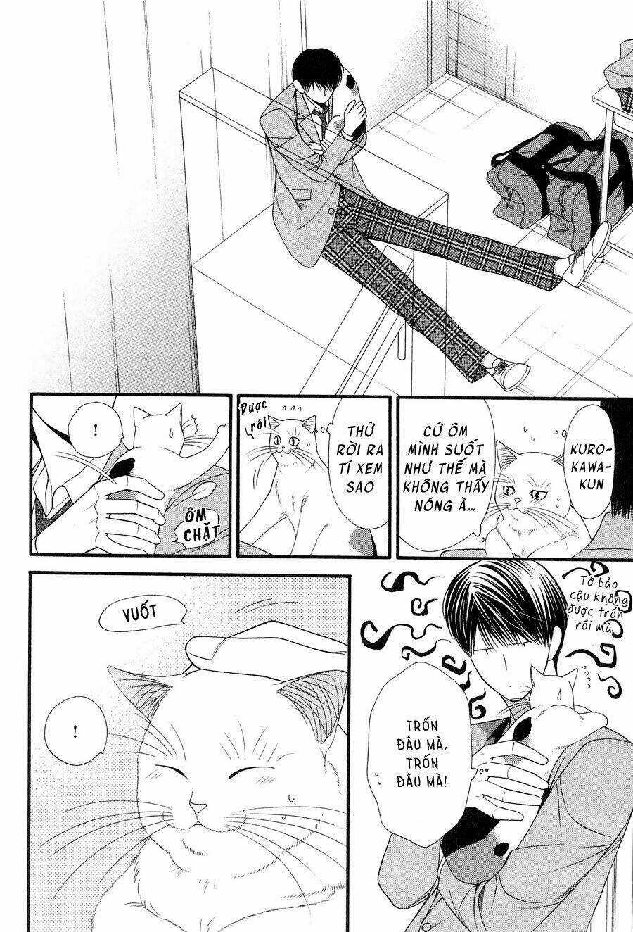 Neko Neko Honey Chapter 12 trang 11