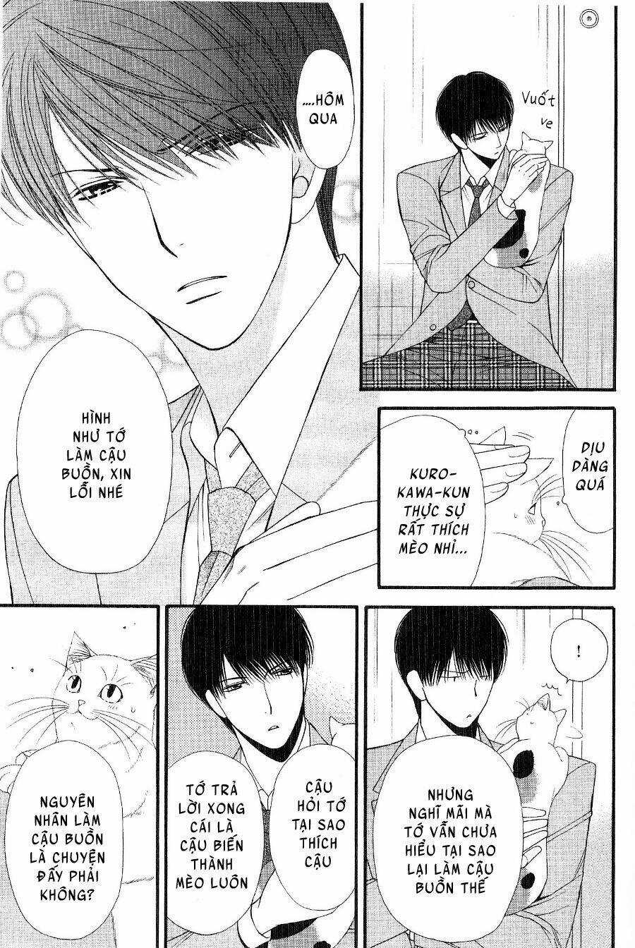 Neko Neko Honey Chapter 12 trang 12