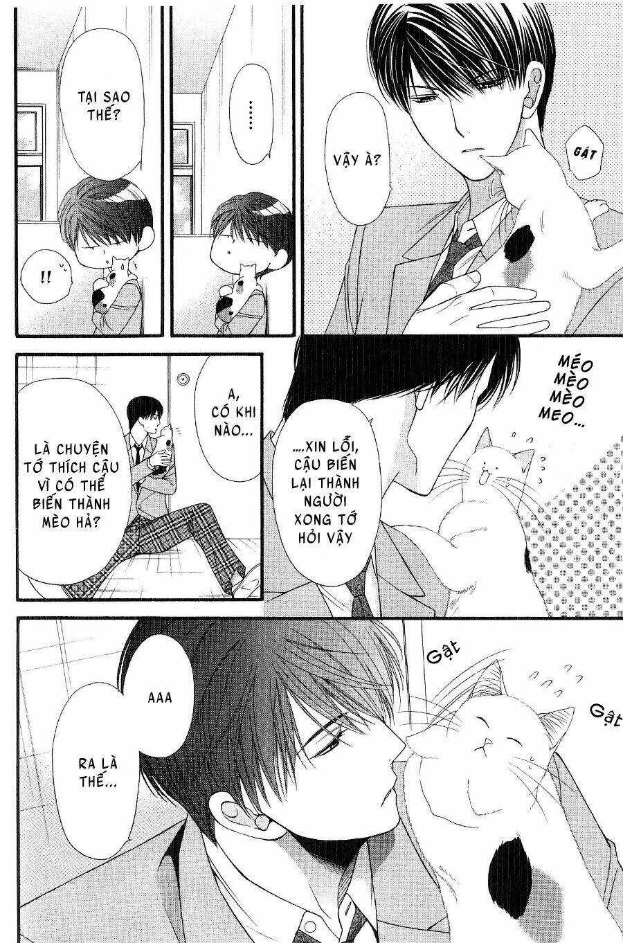 Neko Neko Honey Chapter 12 trang 13