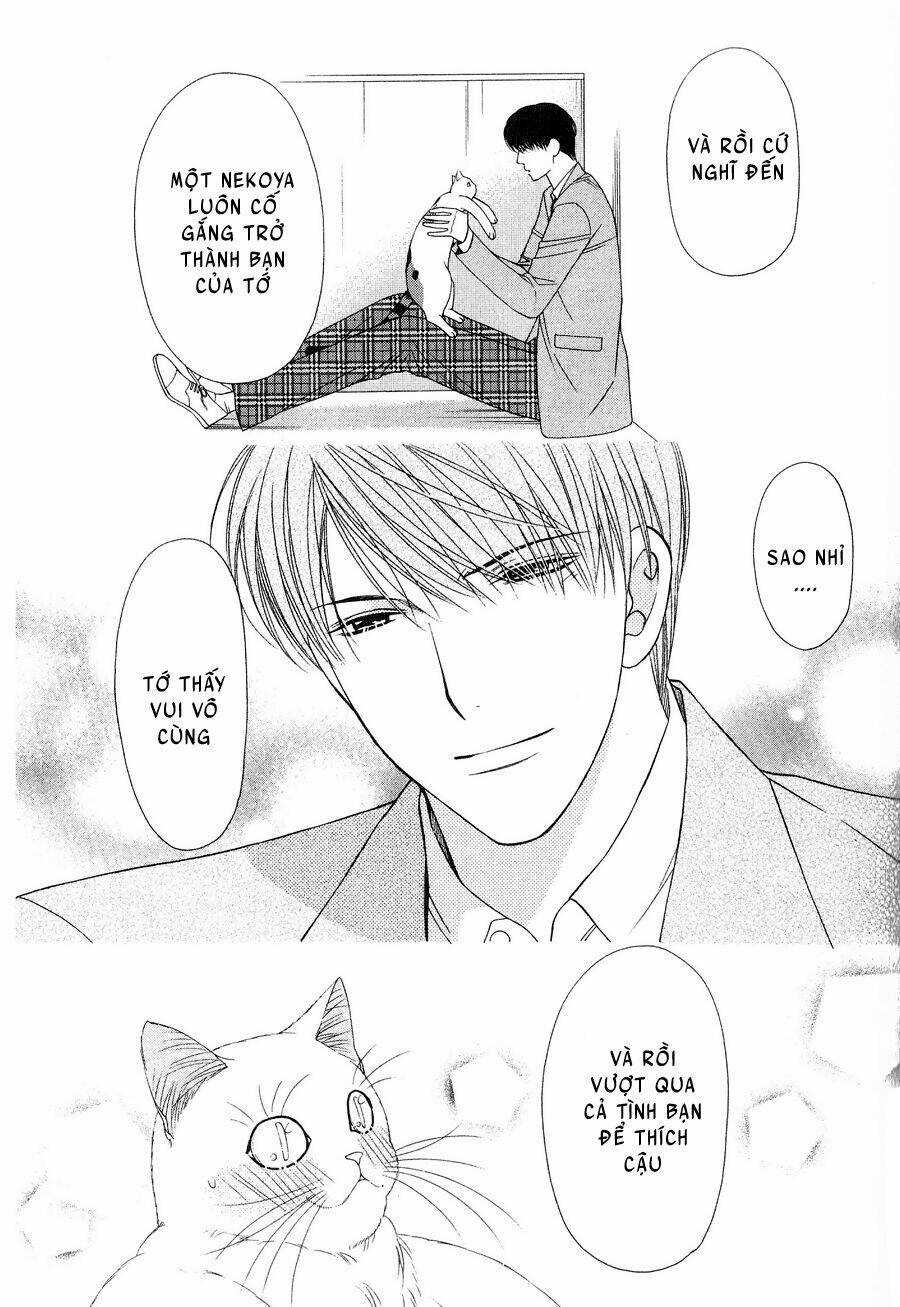 Neko Neko Honey Chapter 12 trang 16