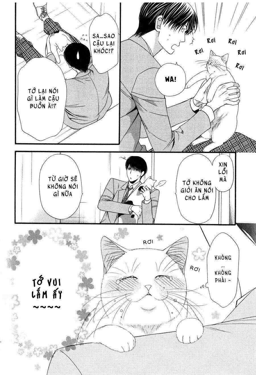 Neko Neko Honey Chapter 12 trang 17