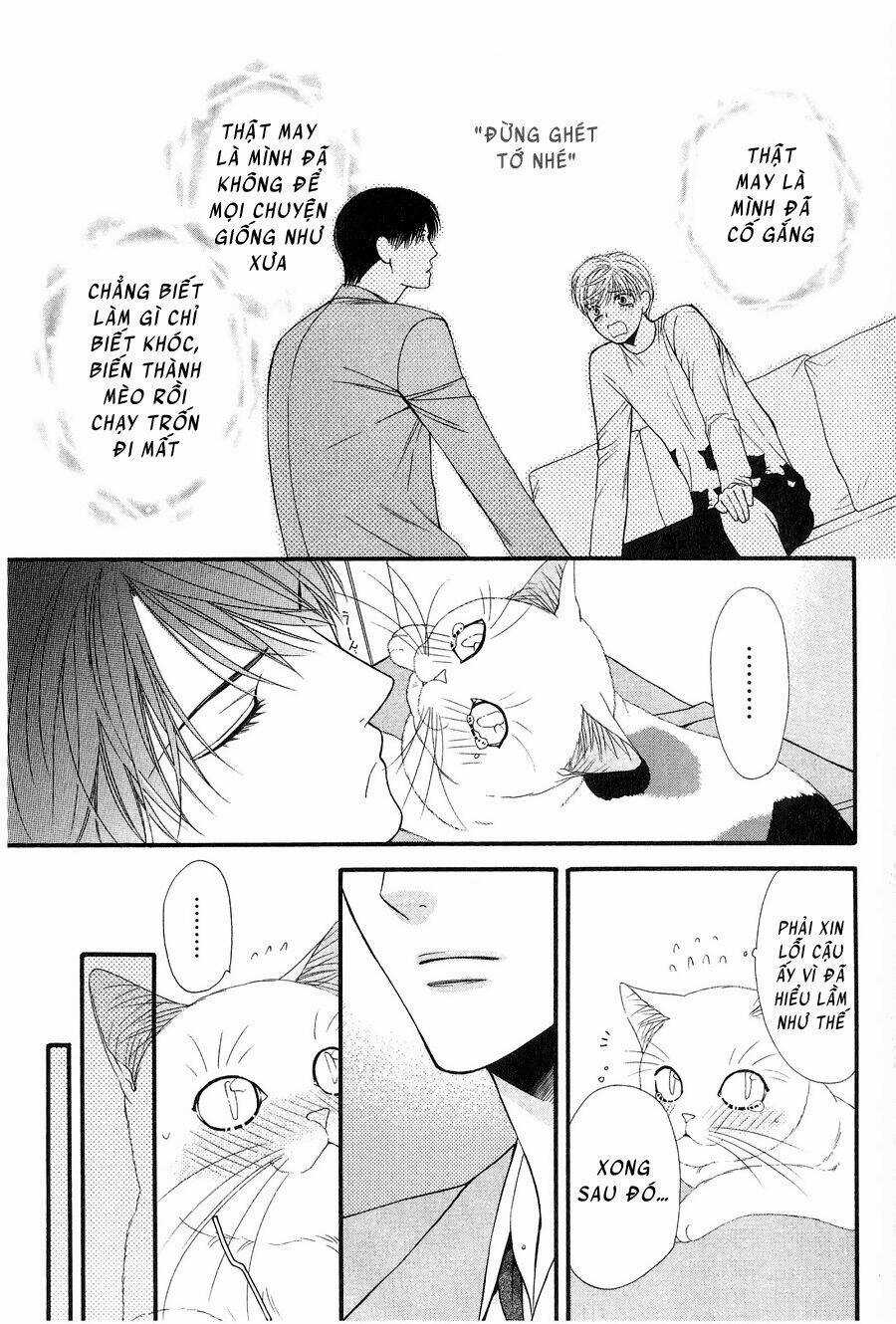 Neko Neko Honey Chapter 12 trang 18