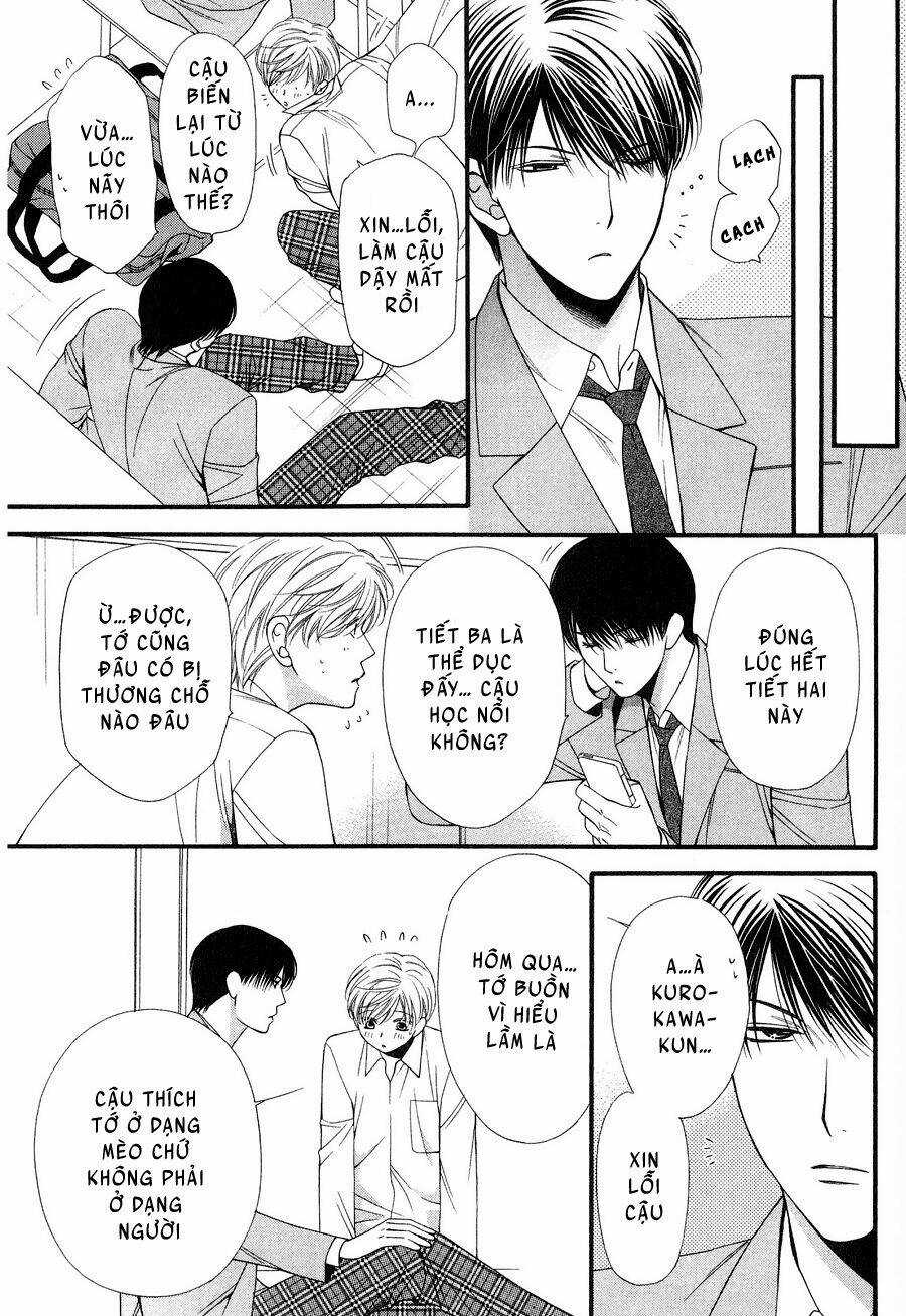 Neko Neko Honey Chapter 12 trang 20