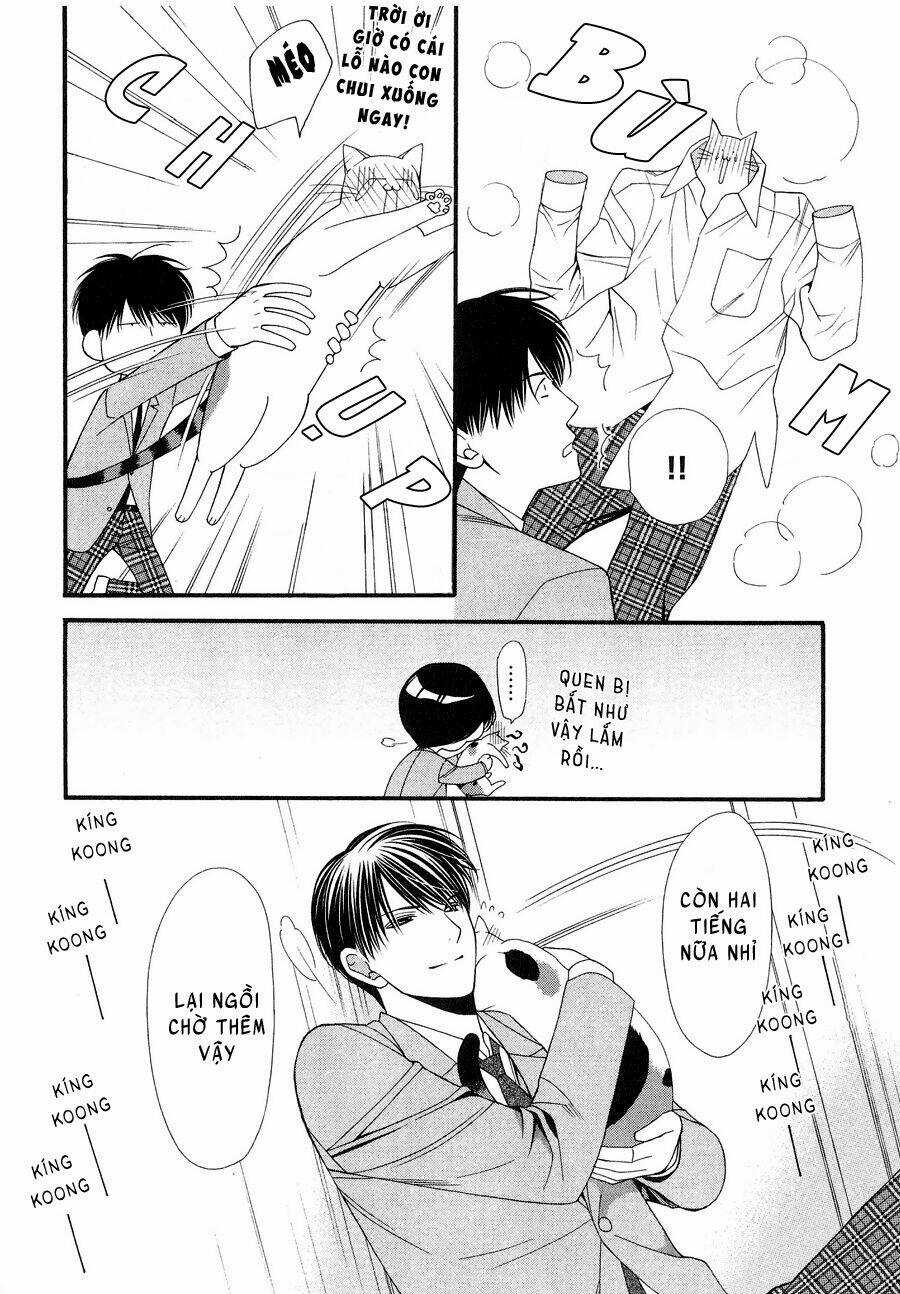 Neko Neko Honey Chapter 12 trang 23